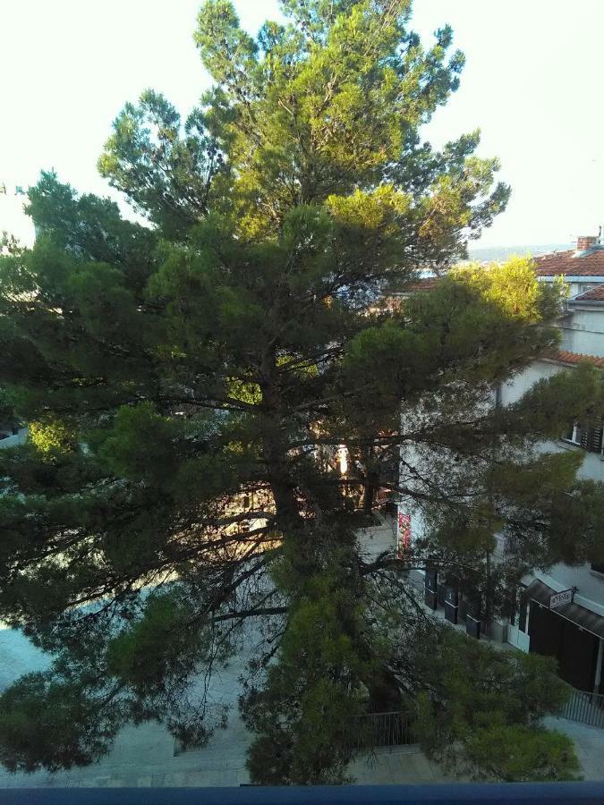 Apartment Sandra 2+2 *** Цриквеница Экстерьер фото